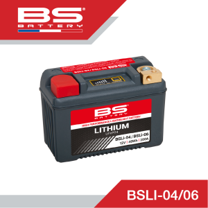 BSLI-04-06