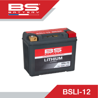 BSLI-12