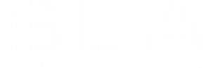SLA BATTERY